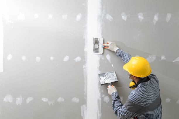 Best Repainting for Renovations  in Essex, IL