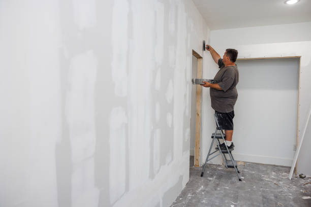 Best Drywall Crack Repair  in Essex, IL