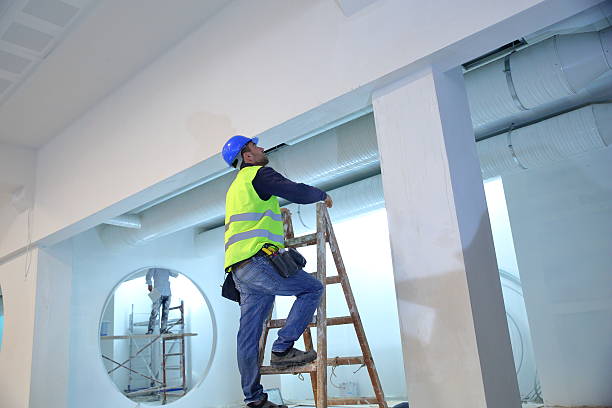 Best Drywall Removal and Disposal  in Essex, IL